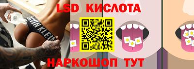 шишки Будённовск