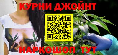 шишки Будённовск